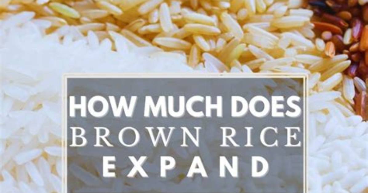 By How Much Does Rice Expand?