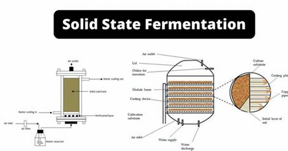 By Solid State Fermentation?