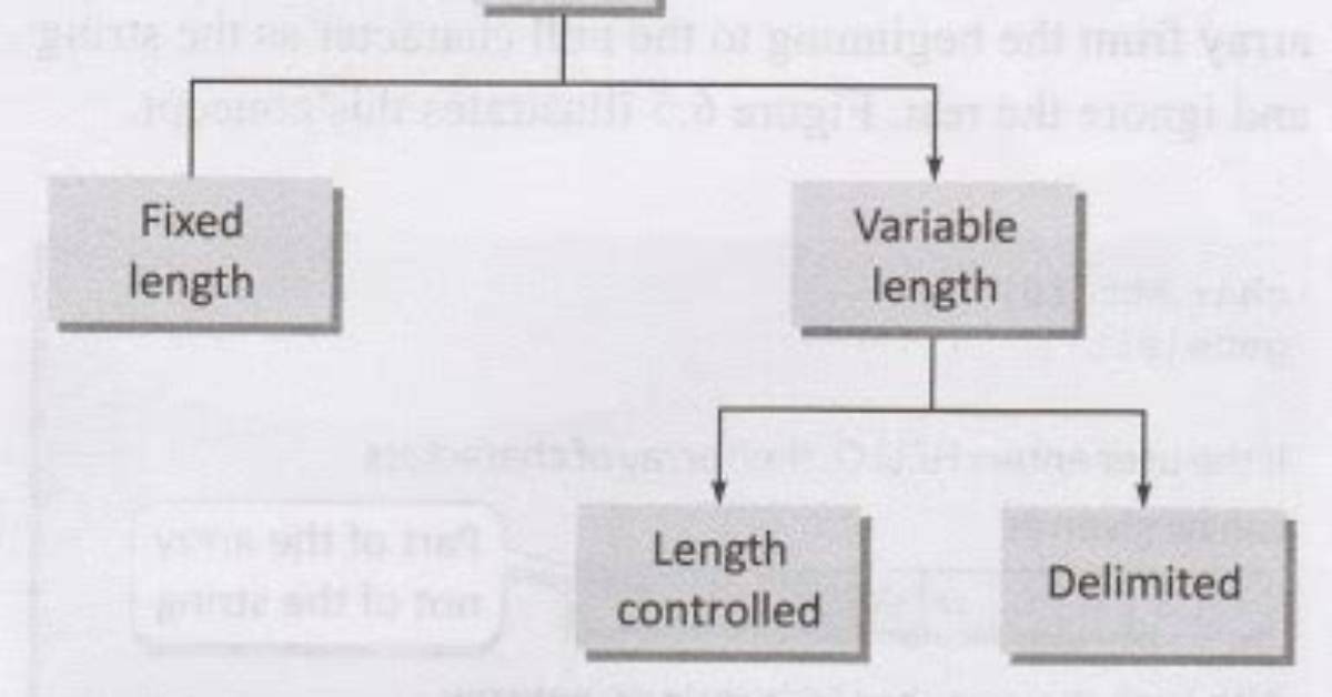 C# Fixed Length String