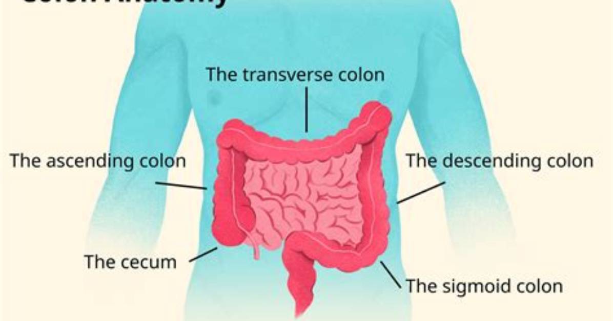 C++, What Does the Colon After a Constructor Mean? [Duplicate]