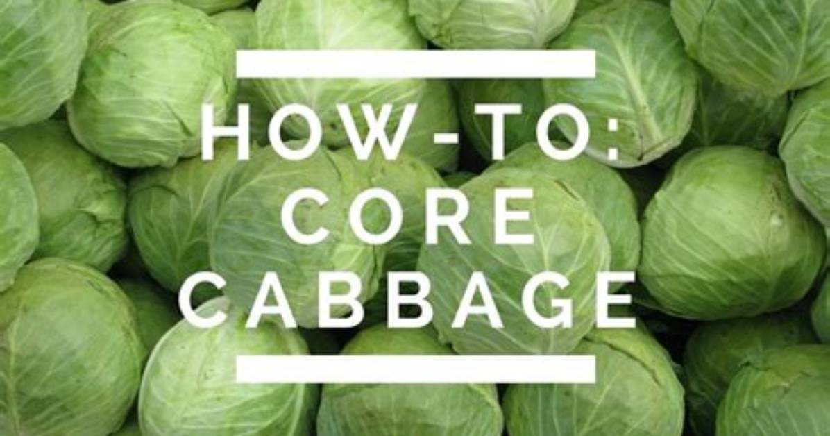 Cabbage Core Edible