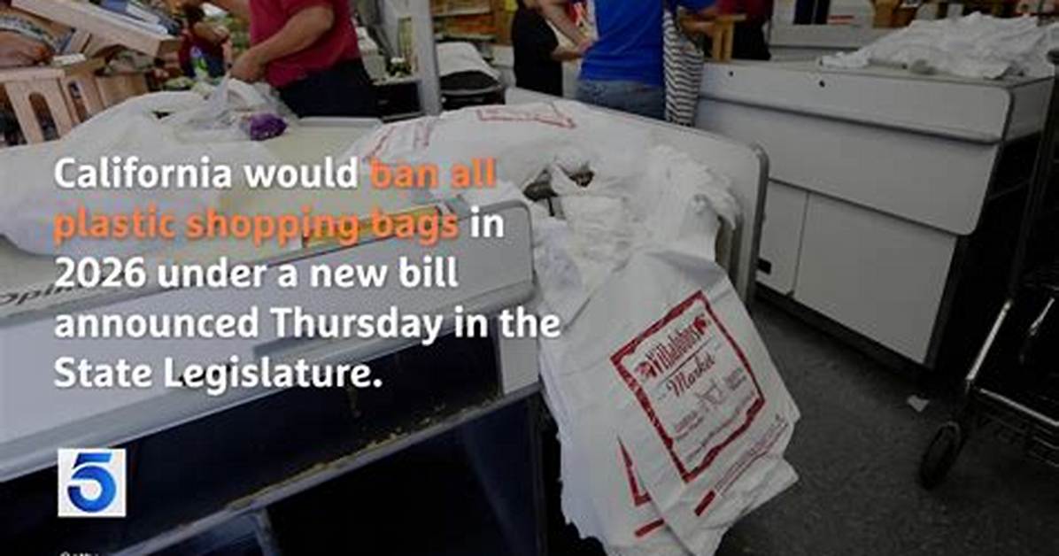 California Bill Would Ban All Plastic Shopping Bags at Grocery Stores | California News