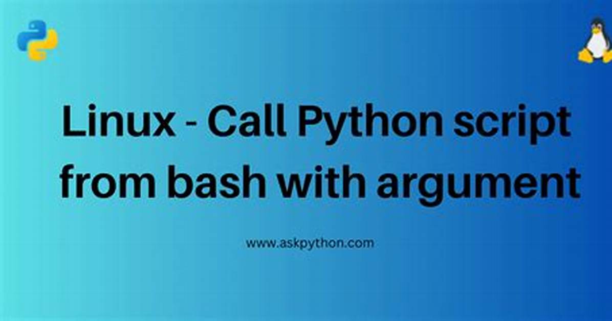 Call Python Script from Bash with Argument