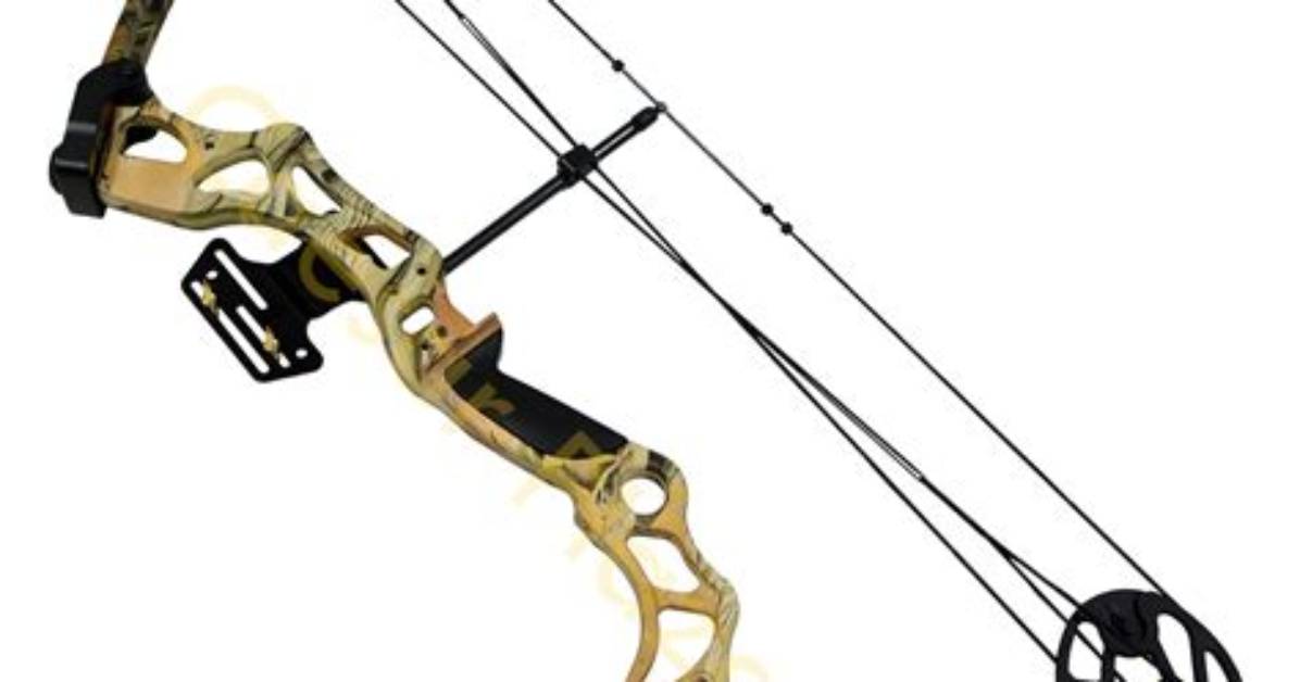 Can a Compound Bow Kill a Bear