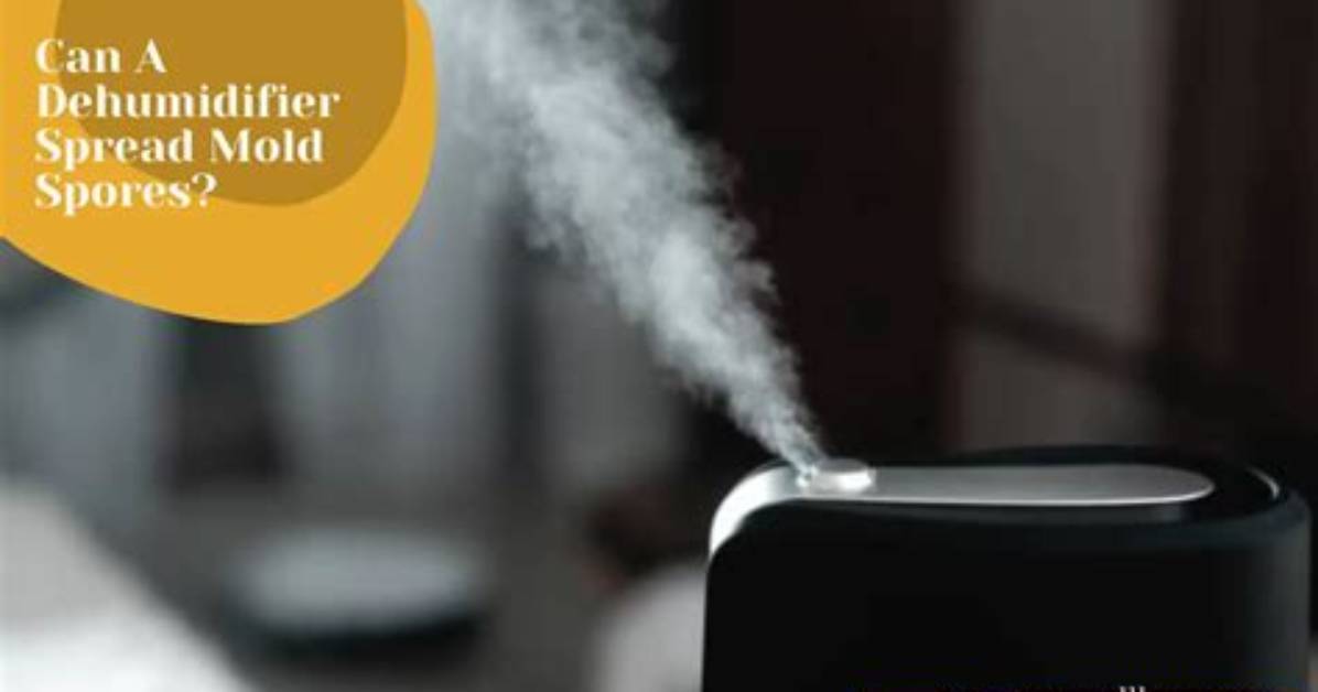 Can a Dehumidifier Spread Mold Spores