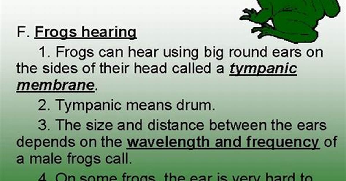 Can a Frog Hear?