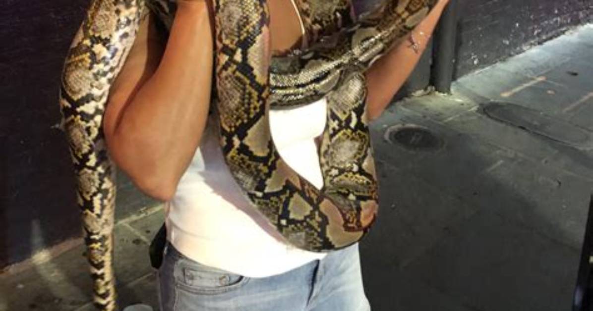 Can a Python Squeeze a Human to Death?