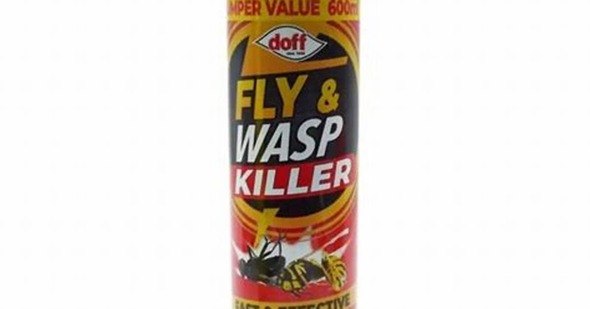 Can a Wasp Kill a Fly