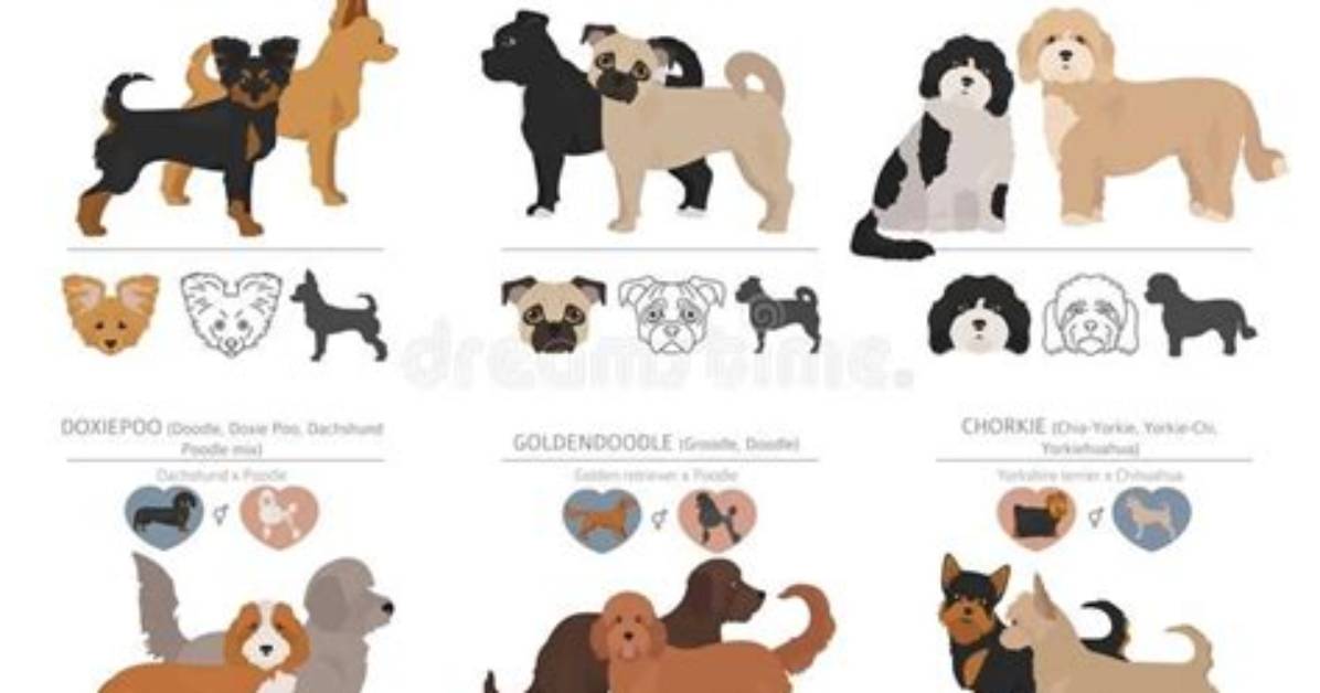 Can All Dogs Interbreed?