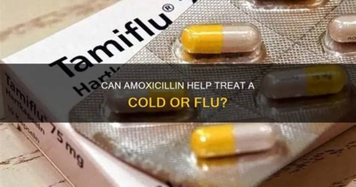 Can Amoxicillin Help with Flu?