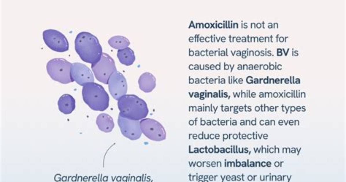Can Amoxicillin Treat Bv?