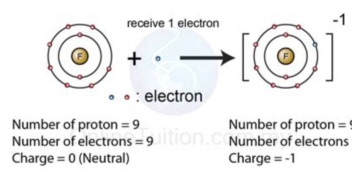 Can an Ion Be Negative?