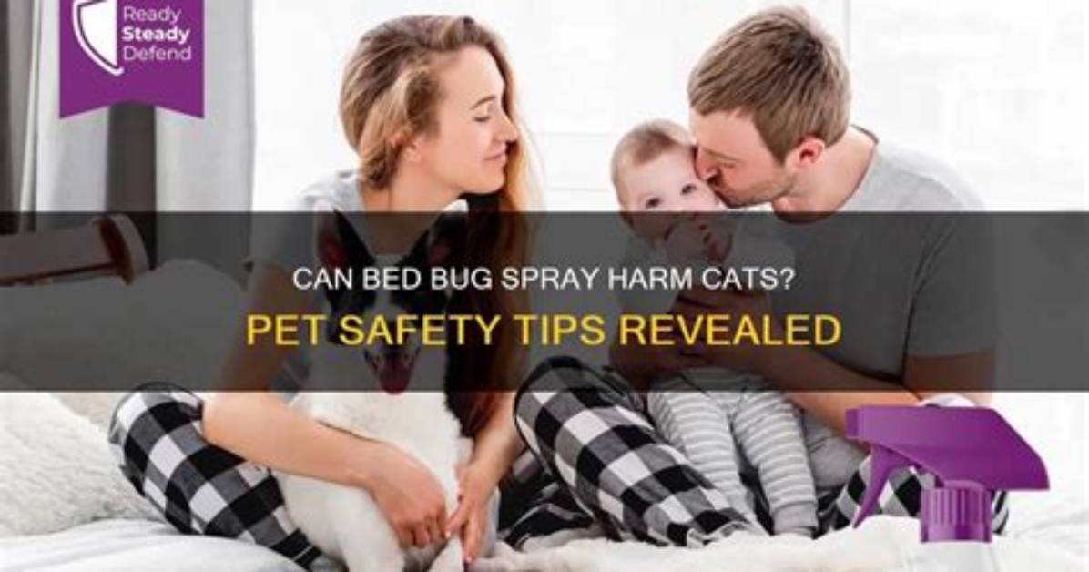 Can Bed Bug Spray Harm You