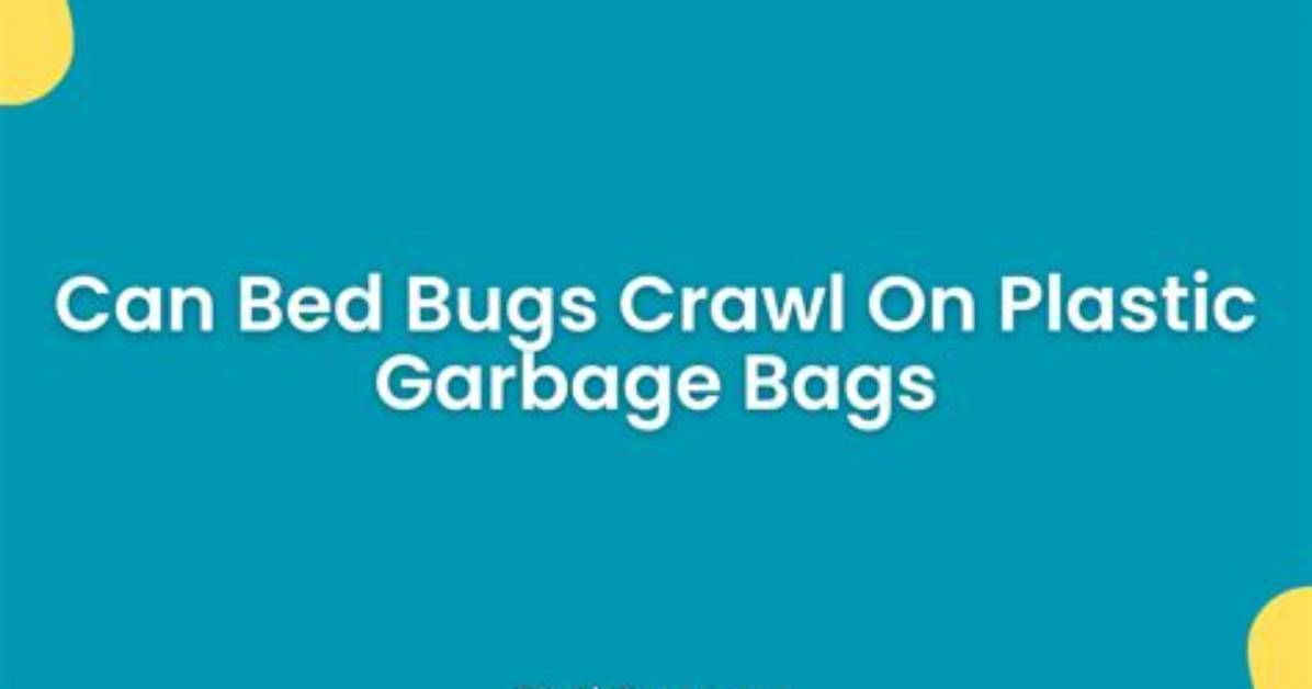 Can Bed Bugs Crawl on Plastic?