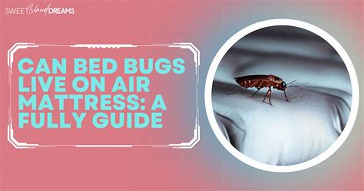 Can Bed Bugs Survive Steam
