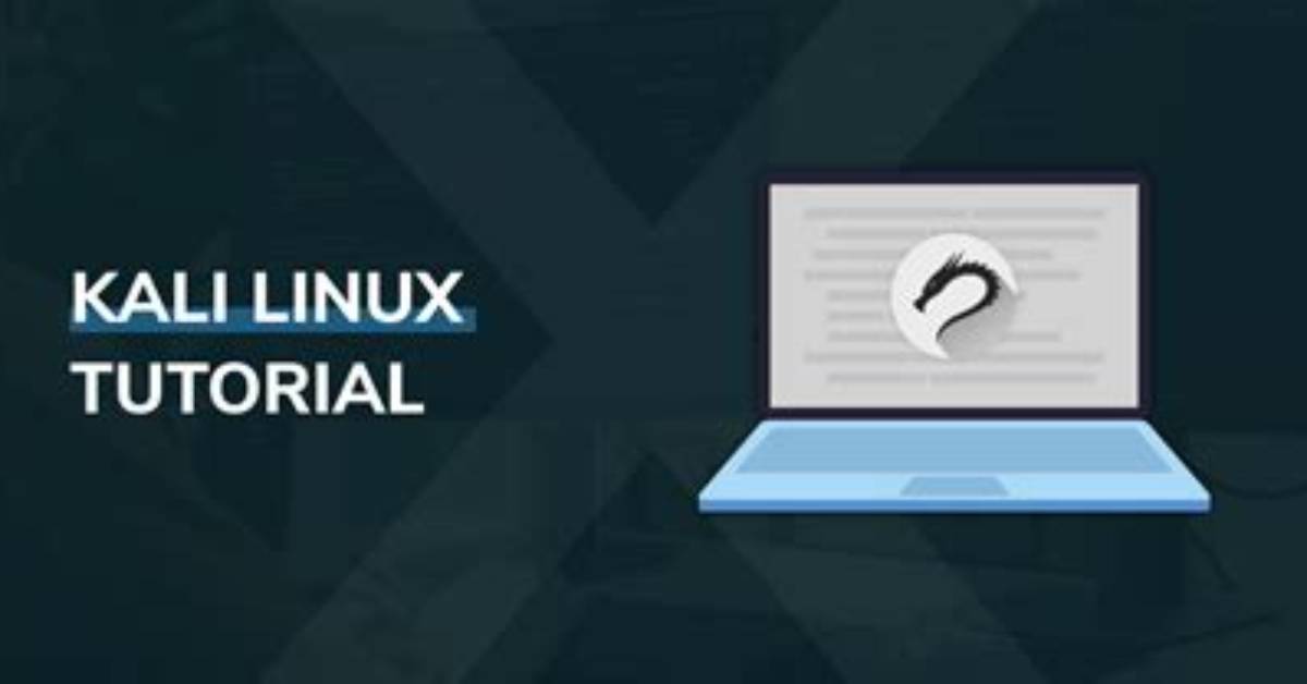 Can Beginners Use Kali Linux?