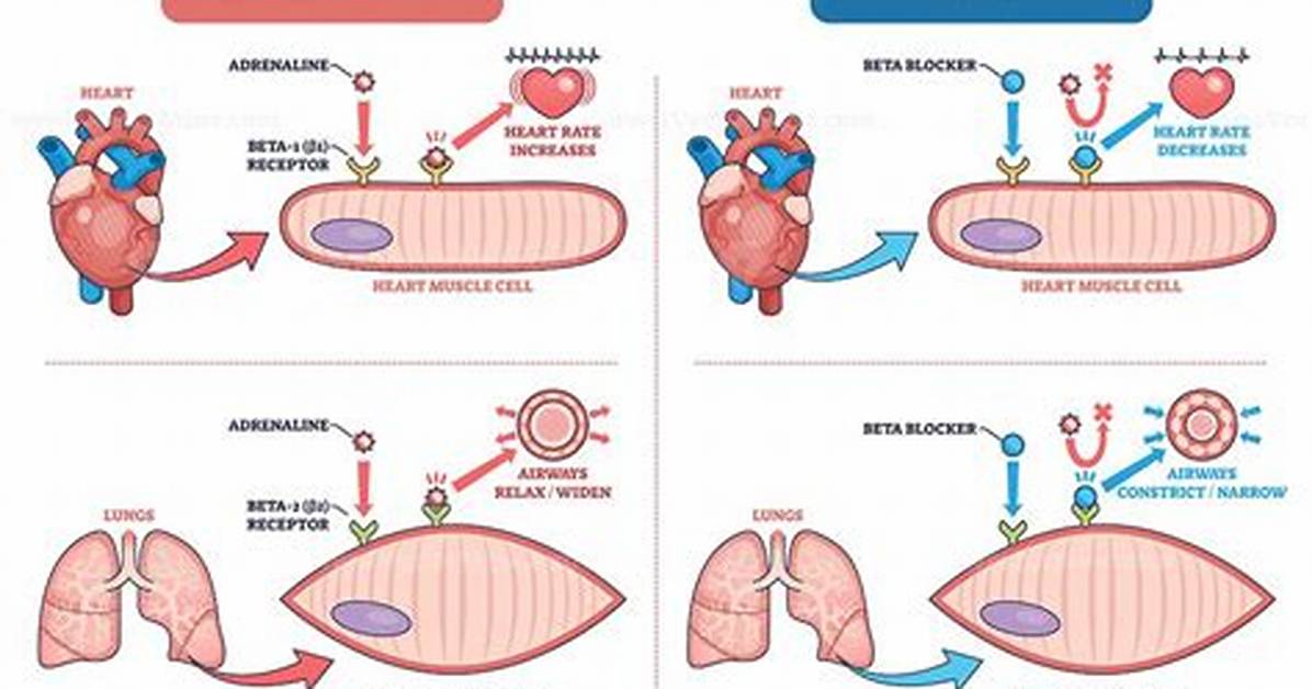 Can Beta Blockers Cause Heart Failure