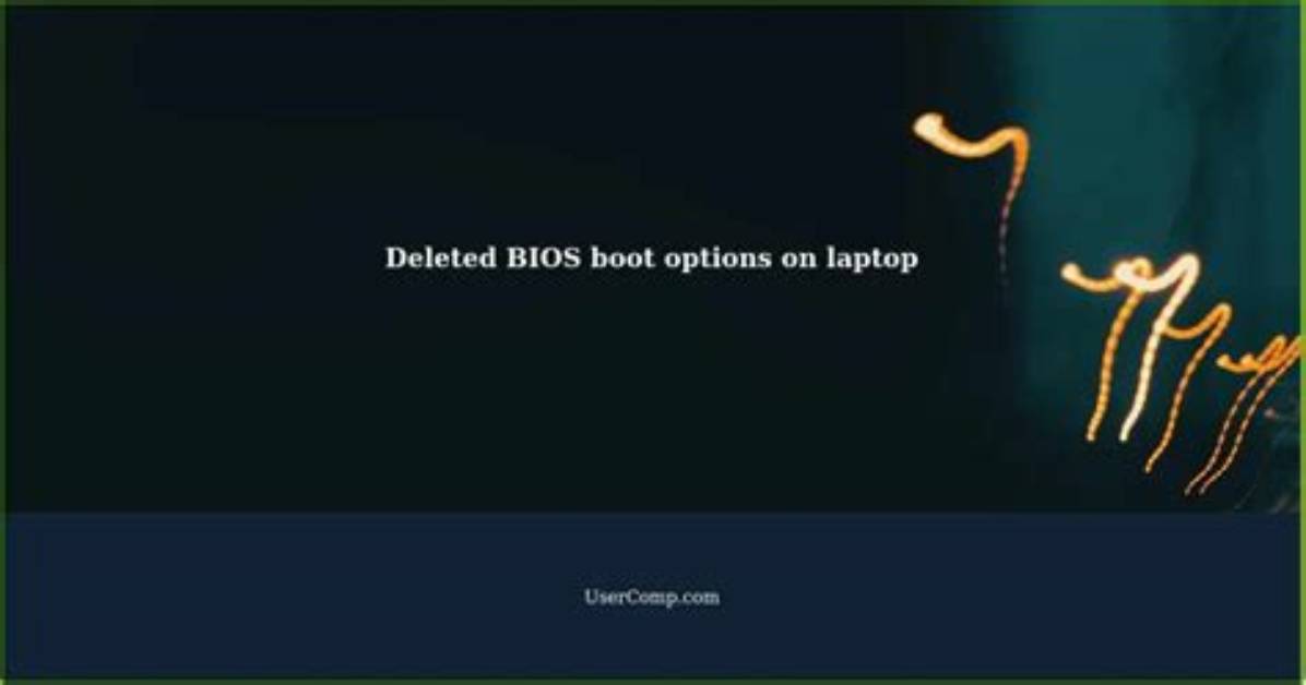 Can Bios Be Deleted?