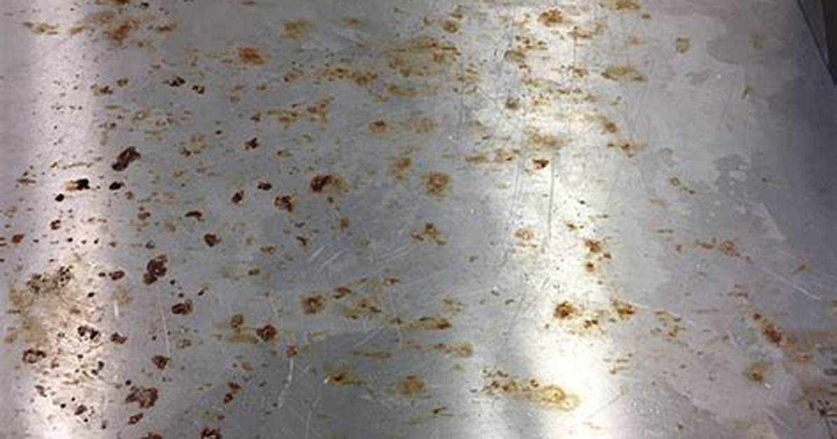 Can Bleach Damage Metal