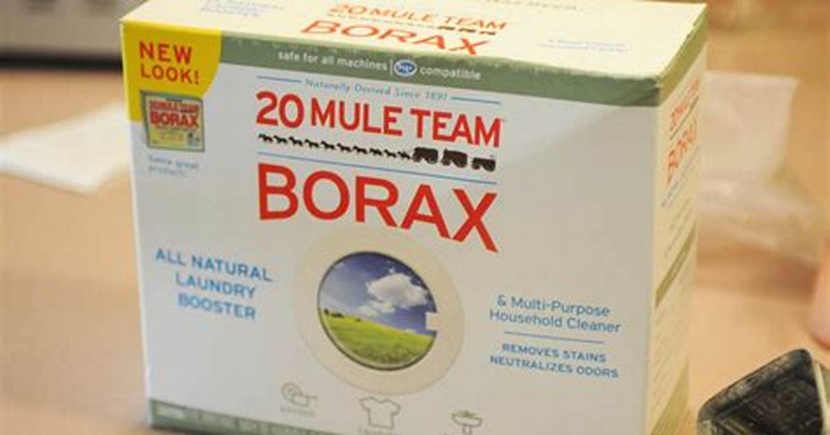 Can Borax Kill Ringworm