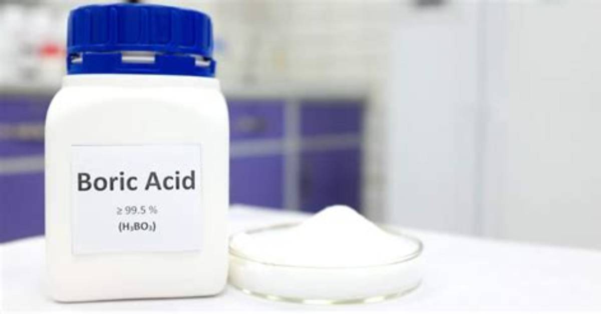 Can Boric Acid Kill You