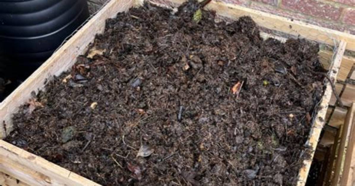 Can Brambles Compost