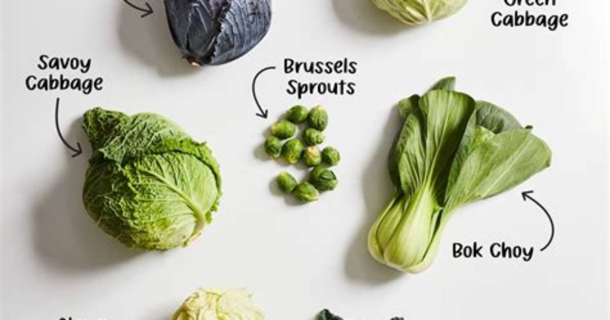 Can Cabbage Be Plural?