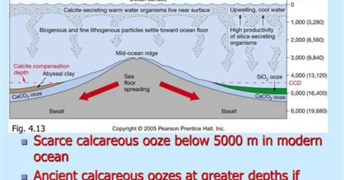 Can Calcareous Ooze Form?