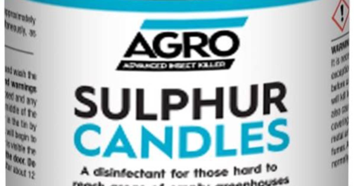 Can Candles Kill Mold Spores?