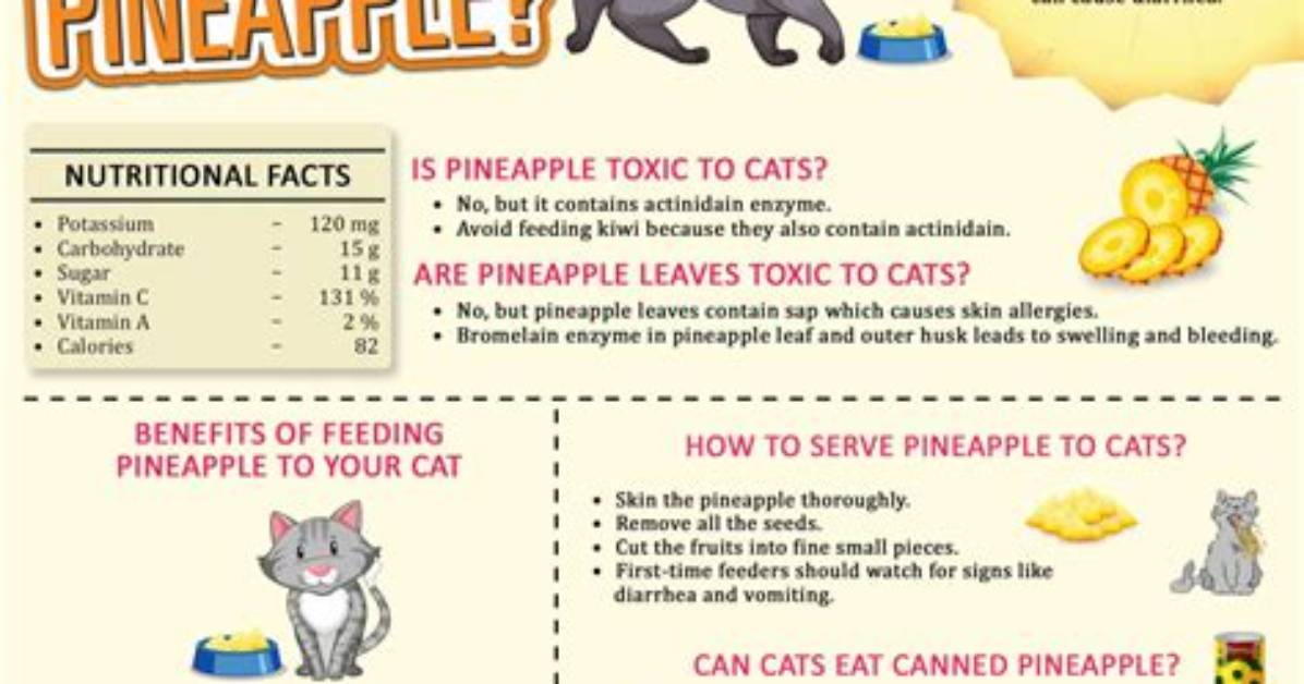 Can Cats Eat Pineapple?