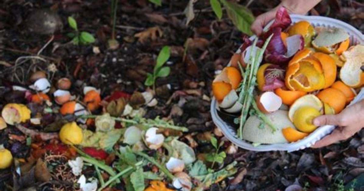 Can Charcoal Be Composted?