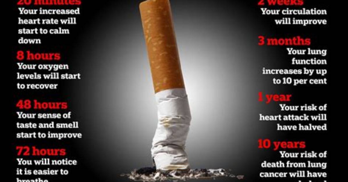 Can Cigarettes Go Bad?