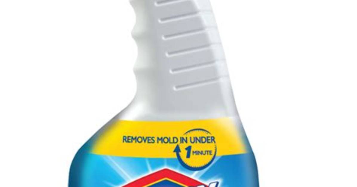 Can Clorox Remove Mold