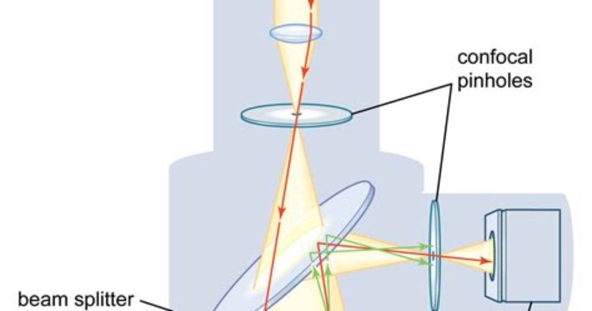 Can Confocal Microscopy Work?