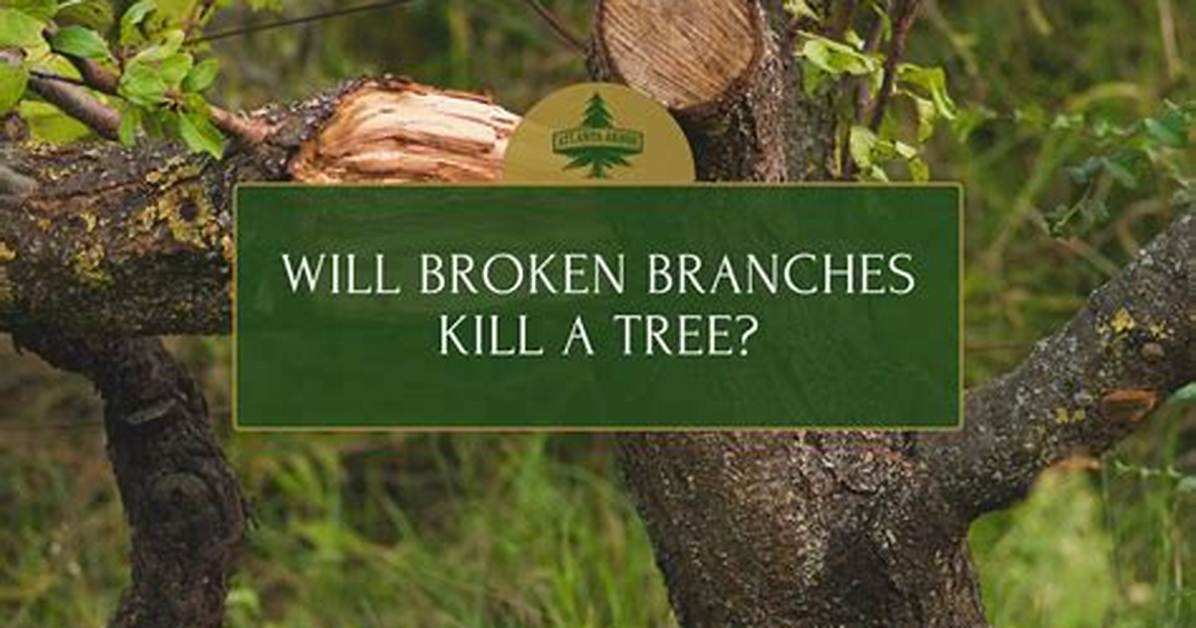 Can Cutting off Branches Kill a Tree?