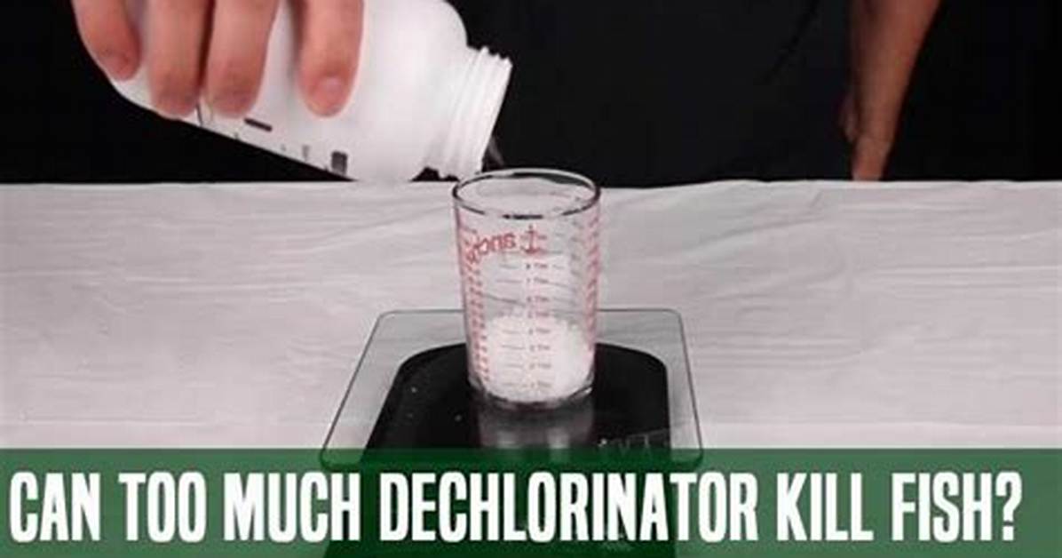 Can Dechlorinator Kill Fish?