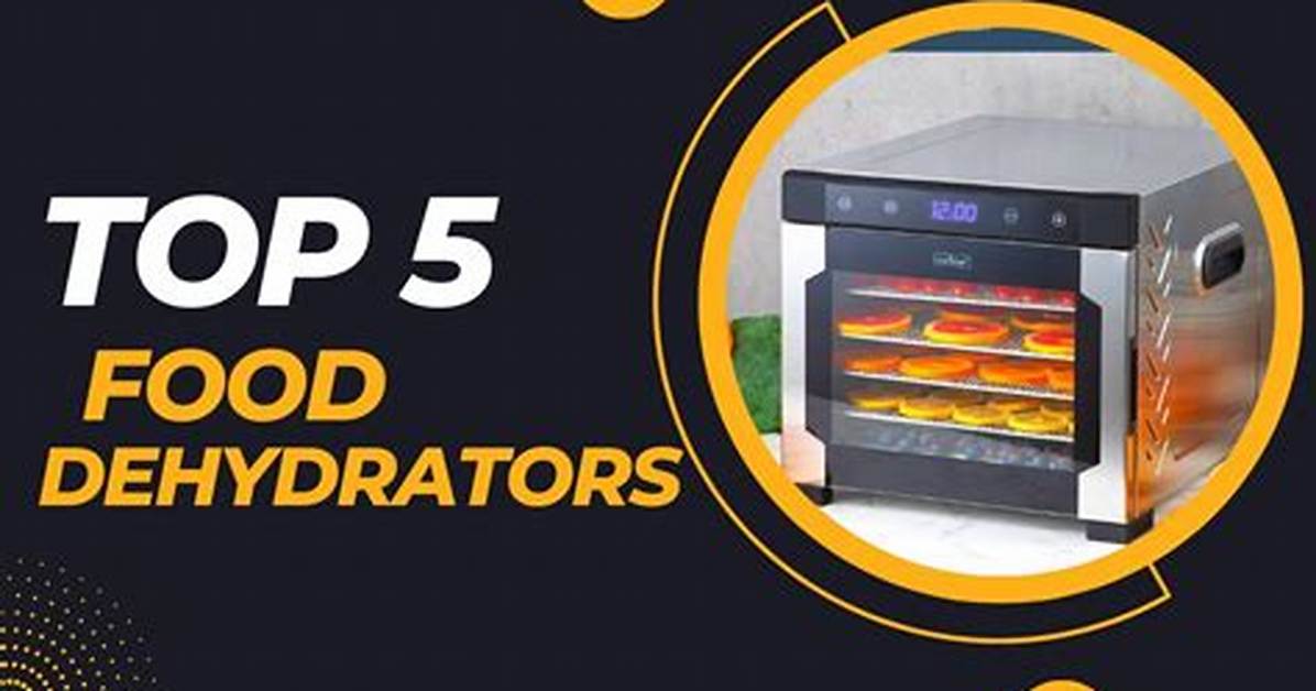 Can Dehydrators Catch on Fire?