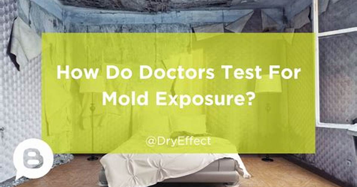 Can Doctors Test for Mold Exposure?