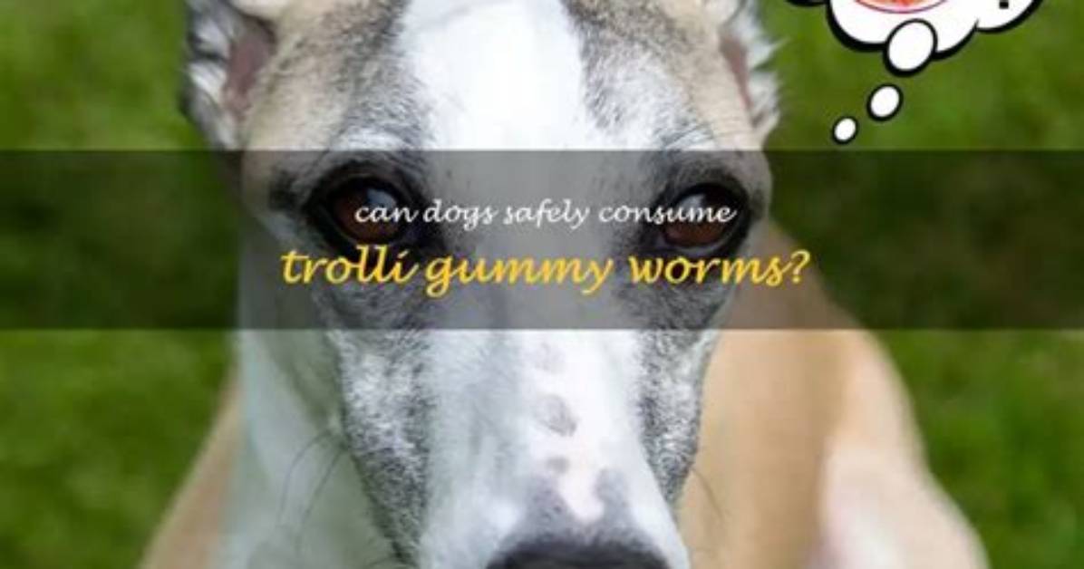 Can Dogs Eat Trolli Gummy Worms?