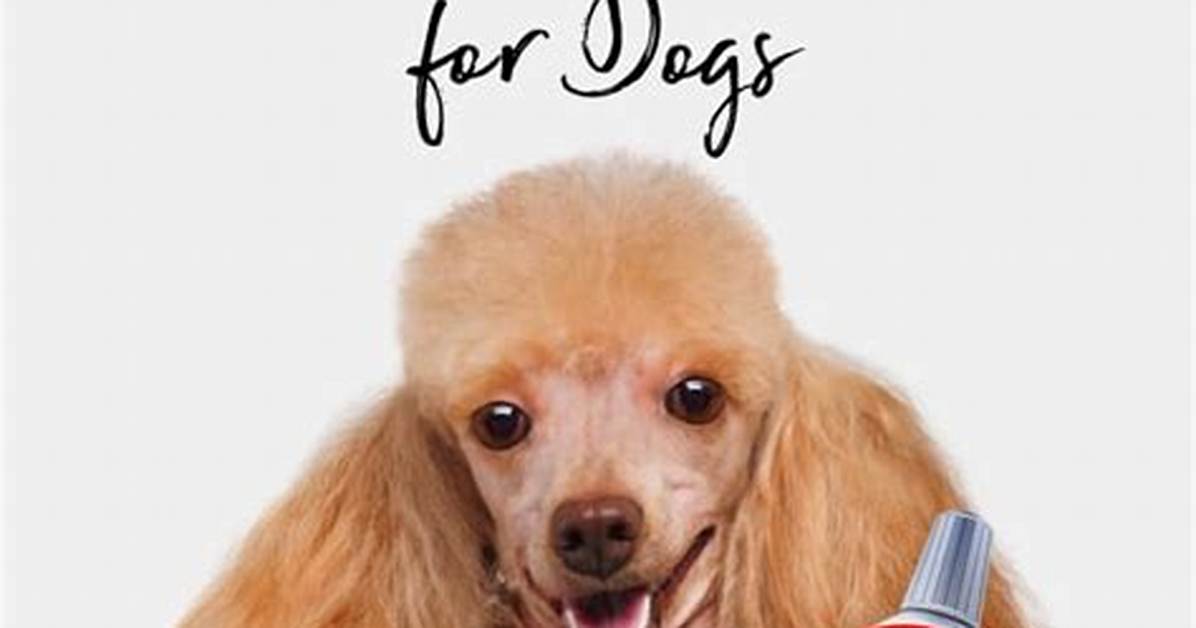 Can Dogs Use Human Toothpaste?