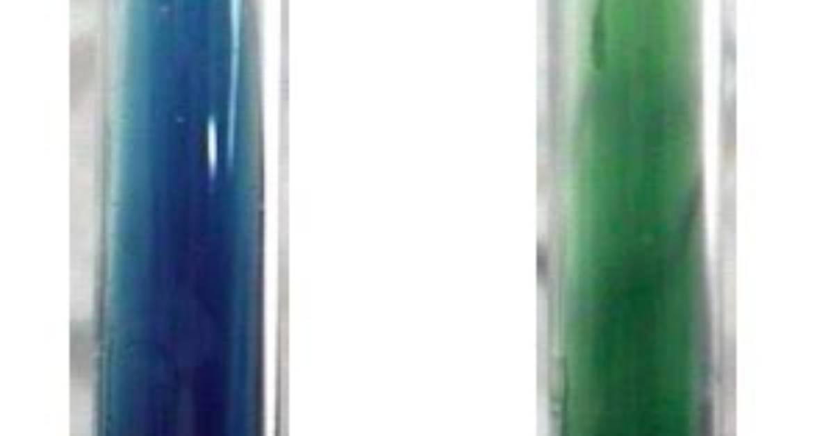Can Enterobacter Aerogenes Utilize Citrate?