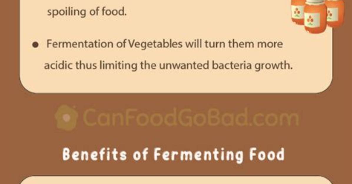 Can Fermented Go Bad?
