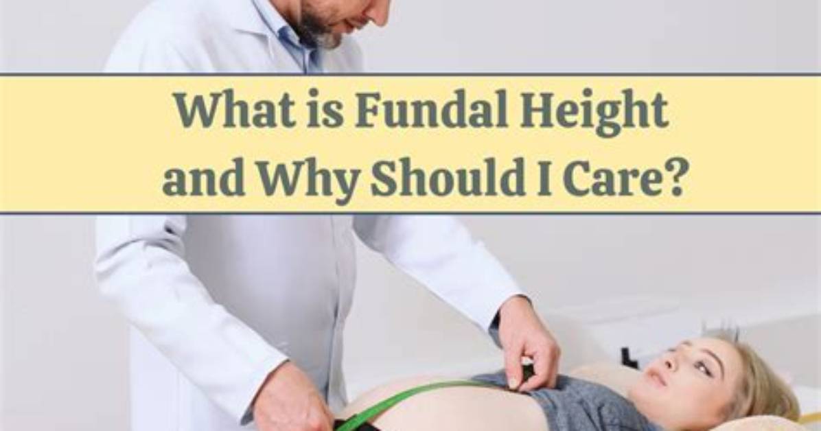 Can Fundal Height Decrease?