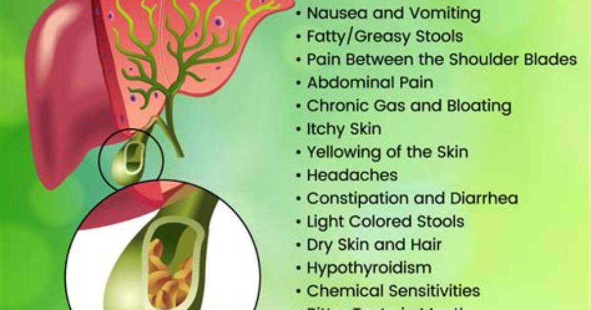 Can Gallbladder Cause Liver Problems