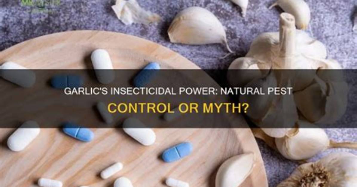 Can Garlic Kill Plants