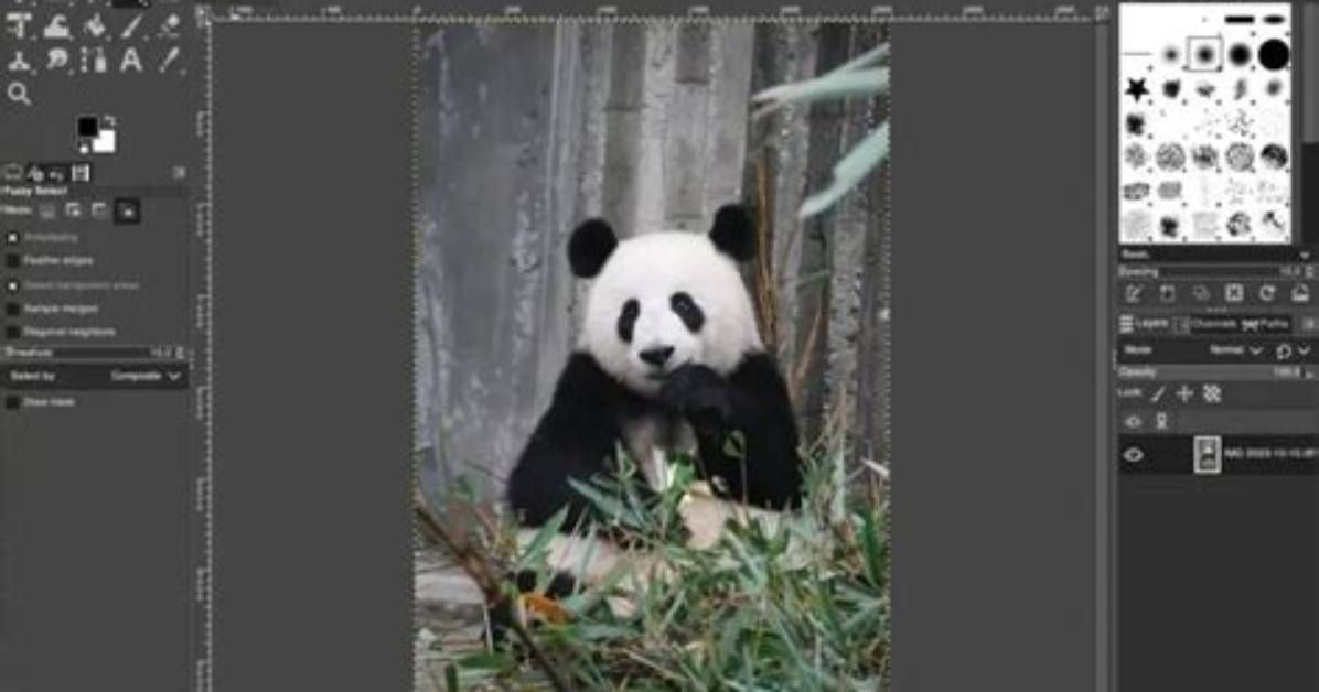 Can Gimp Edit Tiff Files?