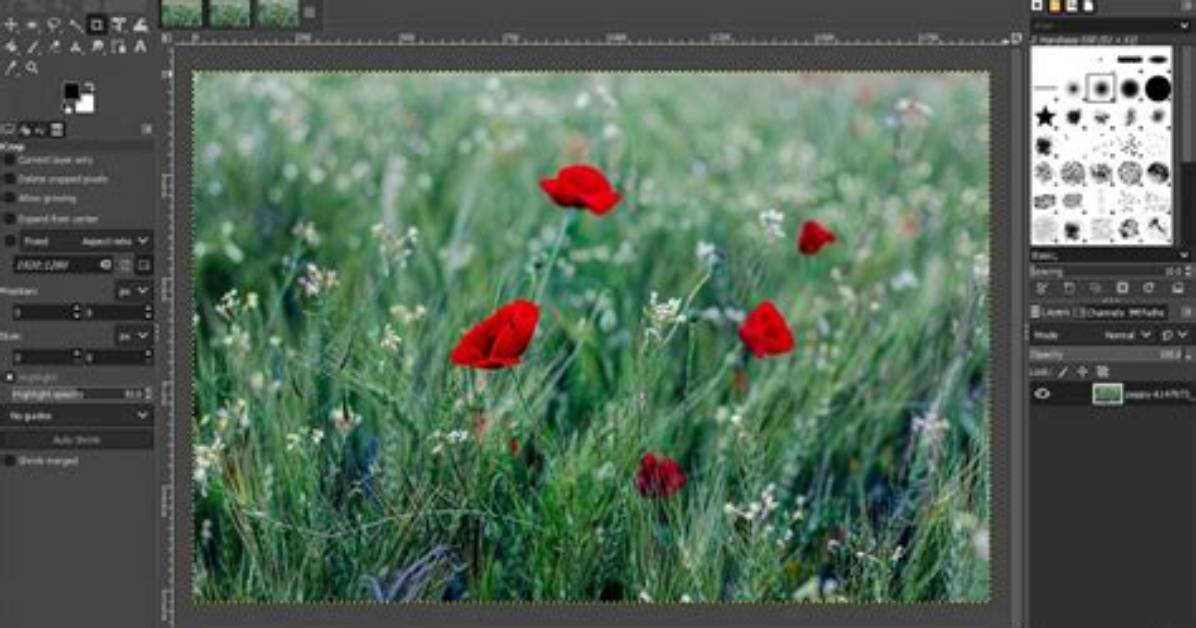 Can Gimp Open Dds?