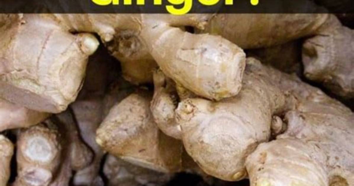 Can Ginger Be Frozen?
