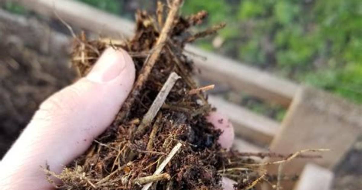Can Hay Be Composted
