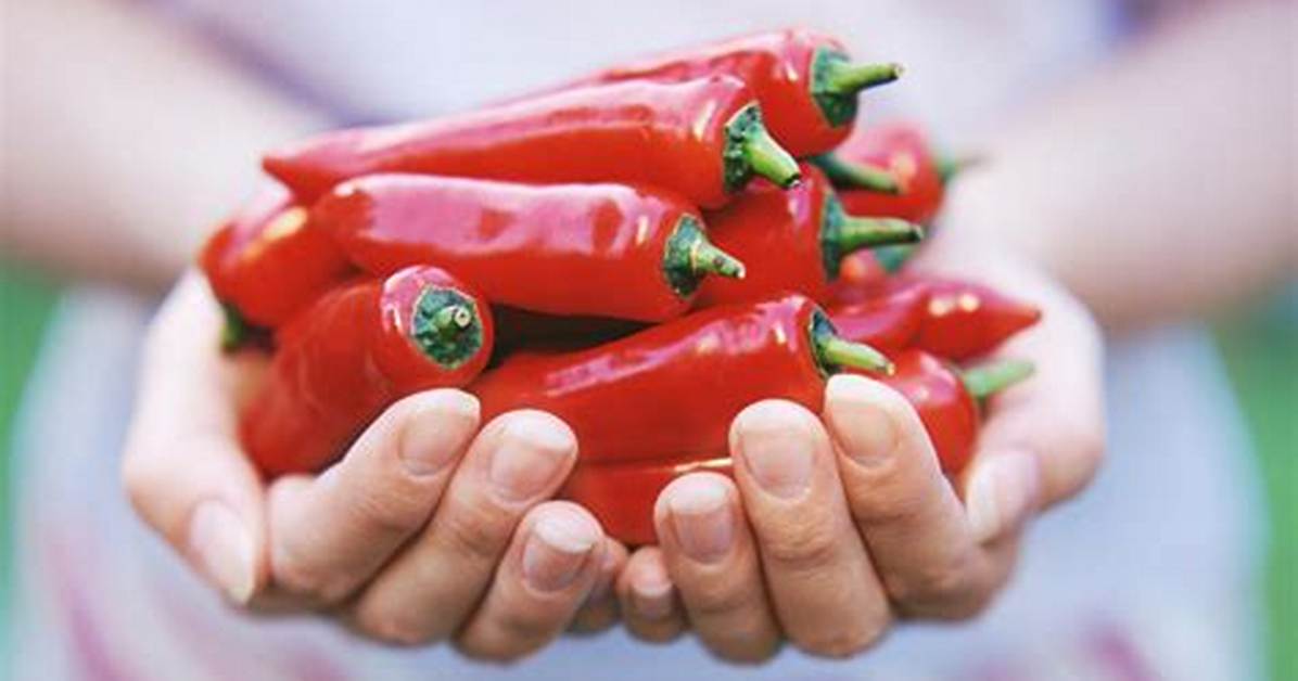 Can Hot Pepper Kill You